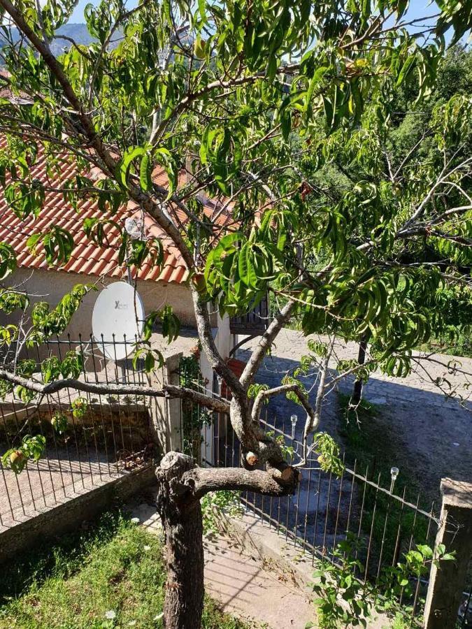 House In A Village Of Taygetus Sparta Exteriör bild